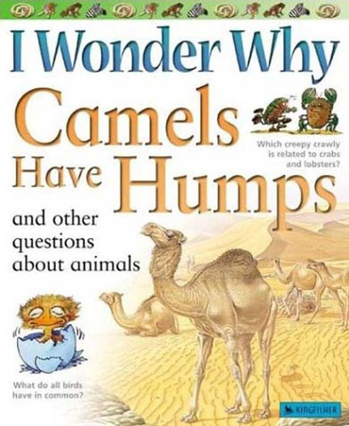 I Wonder Why