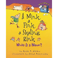 A Mink, a Fink, a Skating Rink : What Is a Noun?